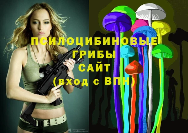 дживик Липки