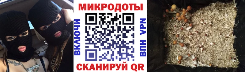 Купить закладки  Онега  Галлюциногенные грибы мицелий 